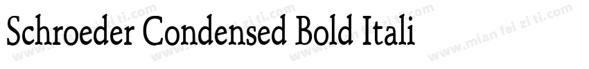 Schroeder Condensed Bold Italic字体转换